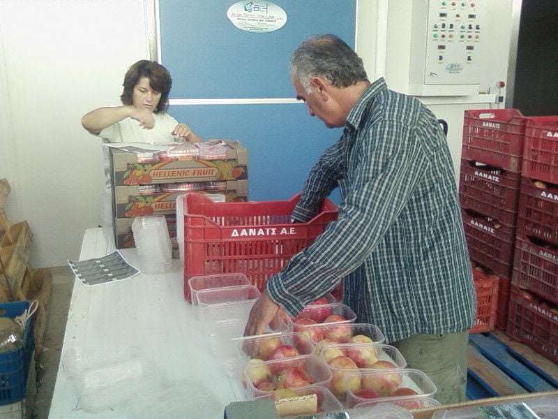 woman and man packaging apples in plastic boxes and crates at Drupes room